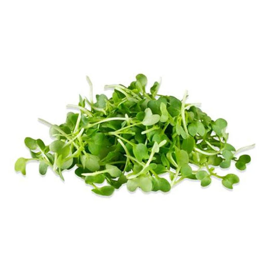 Mustard Microgreen