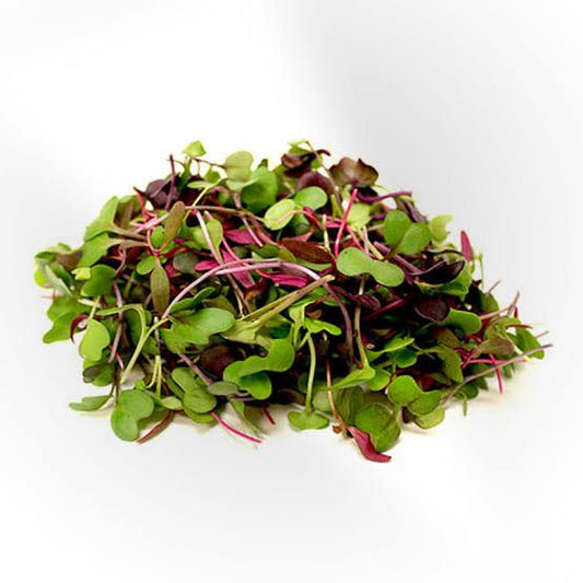 Mix Microgreens